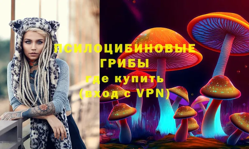 даркнет сайт  Ишимбай  Галлюциногенные грибы Psilocybine cubensis 